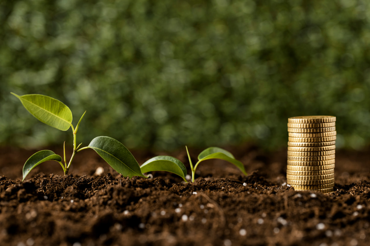 Day 3 - Policy, Investment and Green Enterprises